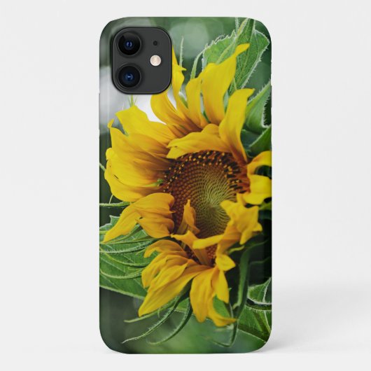 Sonnenblume Case-Mate iPhone Hülle (Rückseite)