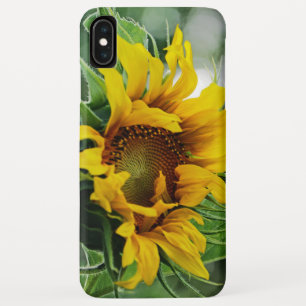 Sonnenblume Case-Mate iPhone Hülle
