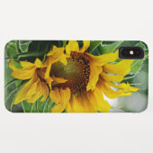 Sonnenblume Case-Mate iPhone Hülle (Rückseite (Horizontal))