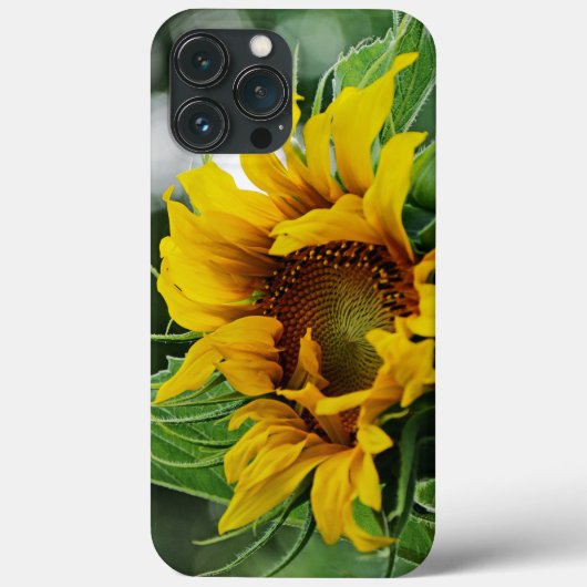Sonnenblume Case-Mate iPhone Hülle (Rückseite)