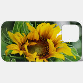 Sonnenblume Case-Mate iPhone Hülle (Rückseite (Horizontal))