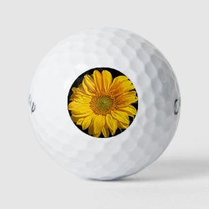 Sonnenblume cwb gbcnm golfball