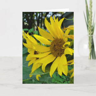 Sonnenblume Dankeskarte