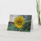 Sonnenblume dankeskarte (Vorderseite)