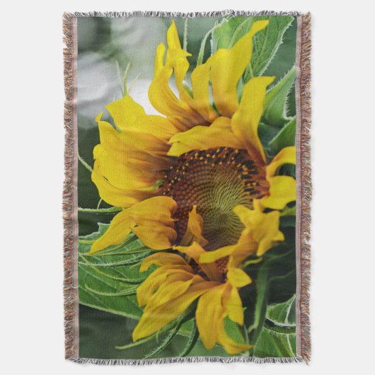 Sonnenblume Decke (Vorderseite Vertikal)