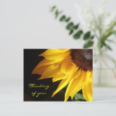 Sonnenblume: Denken Sie an Ihre Postkarte (Stehend Vorderseite)