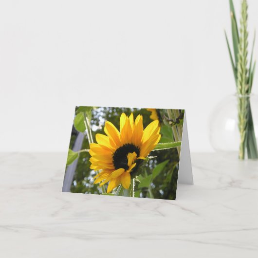 Sonnenblume @ der Garten der Kinder Karte (Vorderseite)