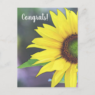 Sonnenblume Digitale Aquarell 2 Postkarte