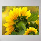 Sonnenblume ~ Druck Poster (Vorne)