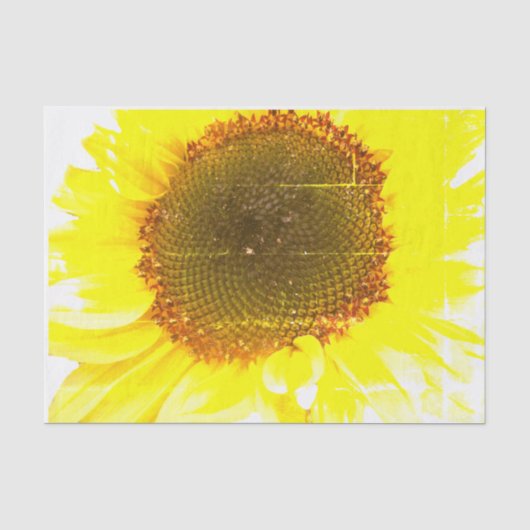 Sonnenblume-Druck Seidenpapier (Vorderseite)