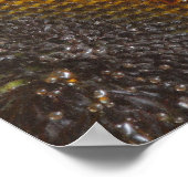 Sonnenblume Duet Poster (Ecke)