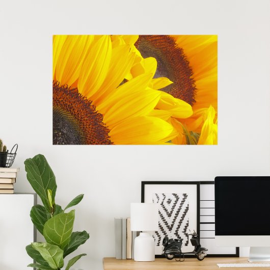 Sonnenblume Duet Poster (Heimbüro)