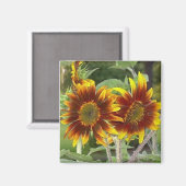 Sonnenblume Duo Magnet (Vorderseite/Rückseite)