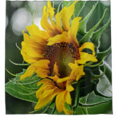 Sonnenblume Duschvorhang (Vorderseite)