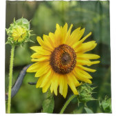 Sonnenblume Duschvorhang (Vorderseite)