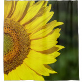 Sonnenblume Duschvorhang (Vorderseite)