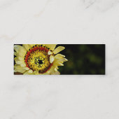 Sonnenblume einer Art Mini Visitenkarte (Rückseite)