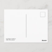 Sonnenblume | Emil Nolde | Postkarte (Rückseite)