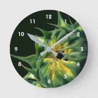 Sonnenblume entfaltet sich Blütenhaft