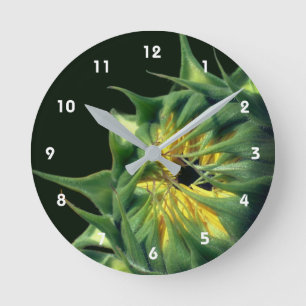 Sonnenblume entfaltet sich Blütenhaft Runde Wanduhr