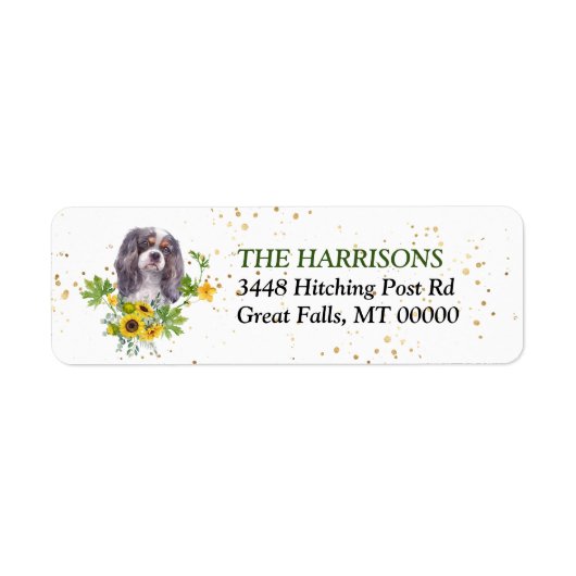 Sonnenblume Eukalyptus King Charles Spaniel (Vorne)