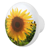 Sonnenblume-Fach-Zug Keramikknauf (Rechts)