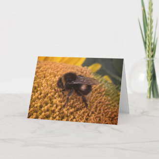 Sonnenblume Feiertagskarte