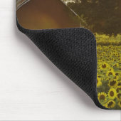 Sonnenblume-Feld am Sonnenuntergang mit einer Mousepad (Ecke)