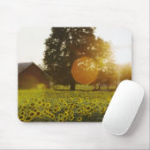 Sonnenblume-Feld am Sonnenuntergang mit einer Mousepad (Mit Mouse)