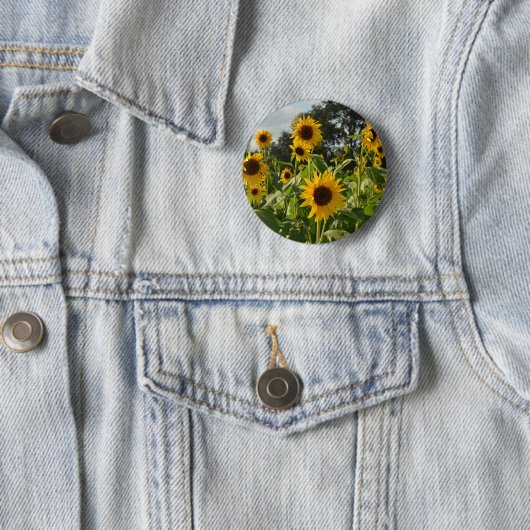 Sonnenblume-Feld Button (Beispiel)