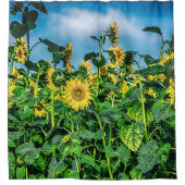 Sonnenblume-Feld Duschvorhang (Vorderseite)