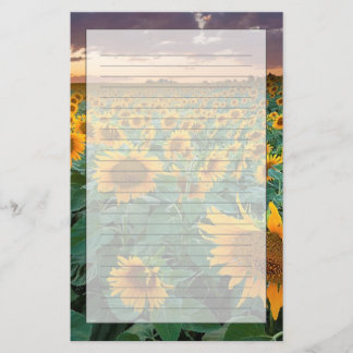 Sonnenblume-Feld in Longmont, Colorado Briefpapier