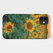 Sonnenblume-Feld in Longmont, Colorado Case-Mate iPhone Hülle (Rückseite (Horizontal))