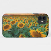 Sonnenblume-Feld in Longmont, Colorado Case-Mate iPhone Hülle (Rückseite (Horizontal))