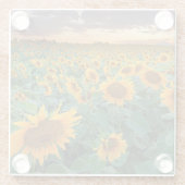 Sonnenblume-Feld in Longmont, Colorado Glasuntersetzer (Rückseite)
