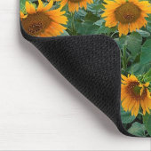 Sonnenblume-Feld in Longmont, Colorado Mousepad (Ecke)