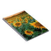 Sonnenblume-Feld in Longmont, Colorado Notizblock (Rechte Seite)