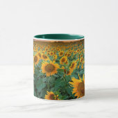 Sonnenblume-Feld in Longmont, Colorado Tasse (Zentrum)