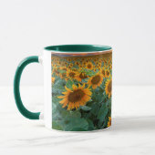 Sonnenblume-Feld in Longmont, Colorado Tasse (Links)