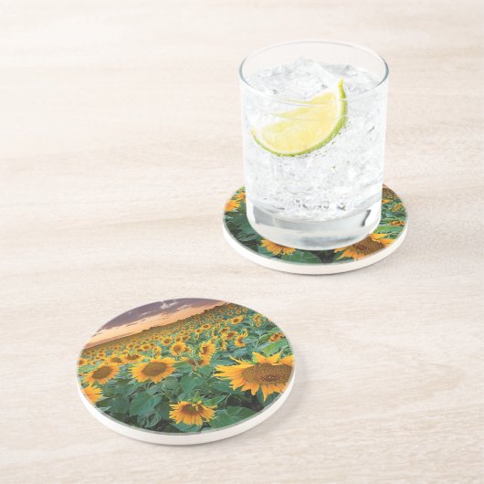 Sonnenblume-Feld in Longmont, Colorado Untersetzer (Seite)