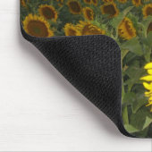Sonnenblume-Feld Mousepad (Ecke)