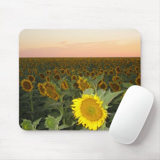 Sonnenblume-Feld Mousepad (Mit Mouse)
