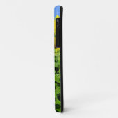 Sonnenblume-Felder Case-Mate iPhone Hülle (Hinten/Links)