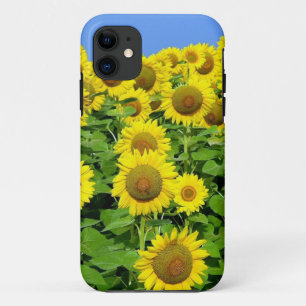 Sonnenblume-Felder Case-Mate iPhone Hülle