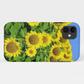 Sonnenblume-Felder Case-Mate iPhone Hülle (Rückseite (Horizontal))