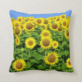Sonnenblume-Felder Kissen