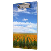 Sonnenblume-Felder Klemmbrett (Links)