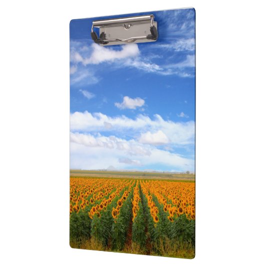 Sonnenblume-Felder Klemmbrett (Links)