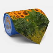 Sonnenblume-Felder Krawatte (Gerollt)