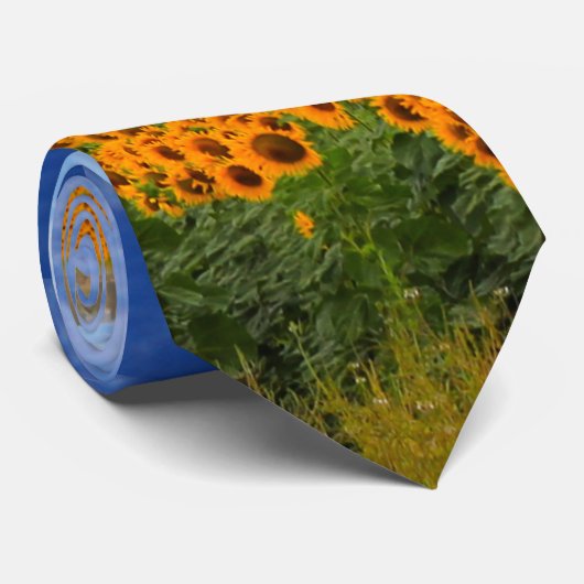 Sonnenblume-Felder Krawatte (Gerollt)